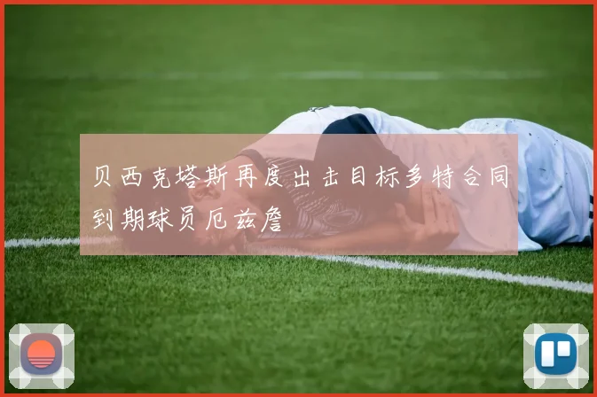 贝西克塔斯再度出击目标多特合同到期球员厄兹詹